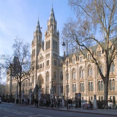 The Natural History Museum