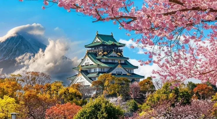 Types of Japan Travel Packages in 2025