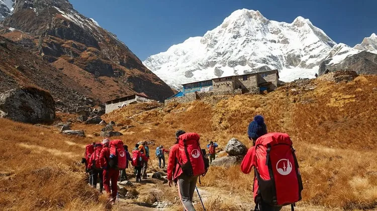 Intrepid Travel Reviews: Honest Guide to Group Adventures in 2025